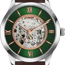 timex Automatic Green Dial Analog Watch - For Men TWEG208SMU06 image 2