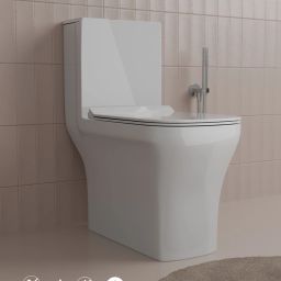 DS-TRAP 1106. Sofi CERAMIC FLOOR MOUNT ONE PIECE WESTERN TOILET Western Commode-image-93