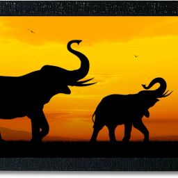 Wild animal posters framed for wall decoration Photographic Paper-image-21