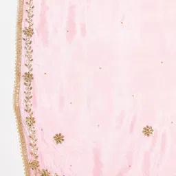 Clora Creation Pink & Gold-Toned Embroidered Dupatta with Sequinned image 5