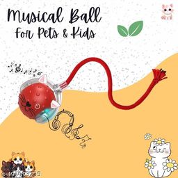 Graceful Chew Toys for Dogs-7