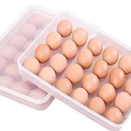 Trendy New Egg Tray-image-41