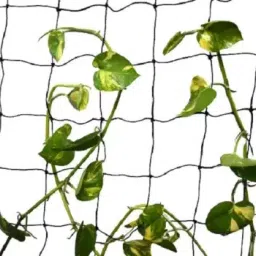 Plant Climbing Net Creeper Support 15Ft x 6Ft Gardening Netting Blue Colour Garden Tool Kit-36