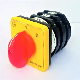 Samarth (L&T) 61372 16A 2Pole 2Way Spring Return 2 To 1 S16 Cam Operated Rotary Switch image 3