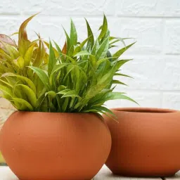Terracotta Kepler Desk Pot with plate Set Of 2 By Gold Dust-picture-12