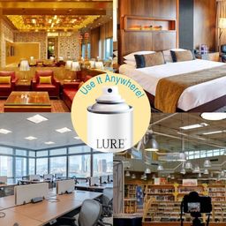 LURE 3 Pieces of Air Freshener - Oud & Saffron - 220ml Each image 2