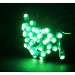 ENORMITY  Green Rice Shaped  LED String Lights With Controller image 2