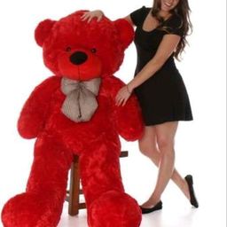 Elite Teddy Bears-image-9