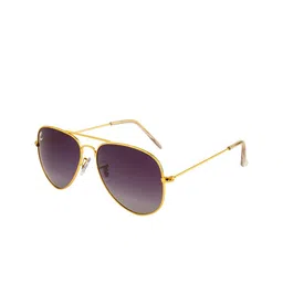 Clark N Palmer Unisex Aviator Sunglasses with Polarised and UV Protected Lens image 3