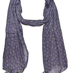 Chiffon Printed Grey Women Dupatta-image-27