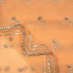 Dupatta Bazaar Sequins Embroidered Net Dupatta image 2