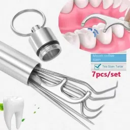 homihost Dental Floss Sticks with Stainless Steel Toothpick Set | Portable & Reusable image 4
