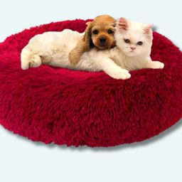The round donut pet bed is perfect for indoor cats and puppies winter, Summer M Pet Bed-image-97