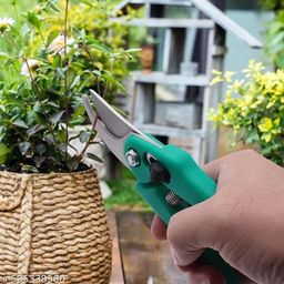 Graceful Gardening Tools-image-48