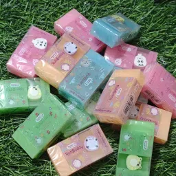 Rub buddy Transparent Eraser Cute Clear & Reliable Eraser for Stationery Non-Toxic Eraser-14