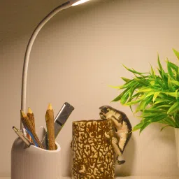 by Weird Wolf 3 Colour Mode LED Study / Desk / Study Lamp-21