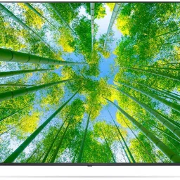 139.7 cm (55 inch) Ultra HD (4K) LED Smart WebOS TV-picture-14
