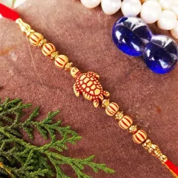 Religious Trendy_JMM_Z1222 Assorted Rakhi Set-image-105