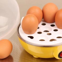 Steaming, Cooking Also Boiling and Frying Solid Electric Egg Boiler/ Egg Steamer/ Egg Cooker New Egg Cooker-picture-36