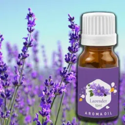 PEEPRESION Electric Brown Diffuser with 2 High Scented Lavender, Rose Aroma Oil (10ml Each) Fragrance Your Home, Office, Study Table, Dinning Table, Meeting Room, Studio Diffuser image 2