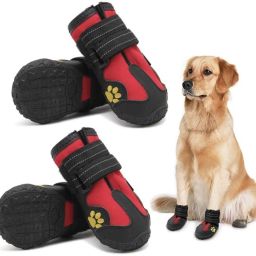 Shoes for Dog-13