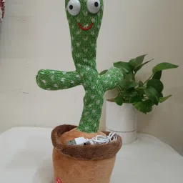 Cactus-picture-20