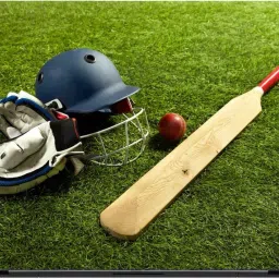 Flipkart SmartBuy bat ball helmet & glouse printed pvc with lamination Laptop Skin Compatible for 15.6 inch-image-26