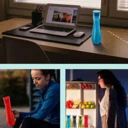 steelo Multicolor Plastic (Set of 4) Floret Water Bottle-picture-24