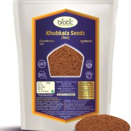 Khoobkala Seeds - Khubkala Seeds - Hedge Mustard Seed Seed-image-92