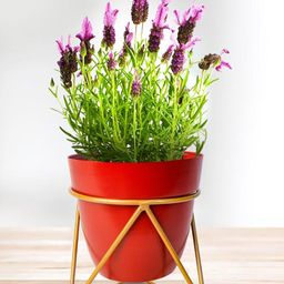 Nymph Red 2 Pieces Steel Flower Planters With Stand-11