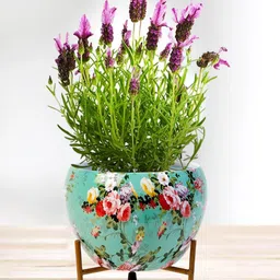 Nymph White Green Printed Flower Planter With Stand-image-0