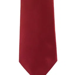 The Tie Hub Maroon Solid Skinny Tie-image-96