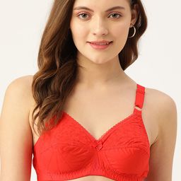DressBerry Red Floral Embroidered Bra-picture-24