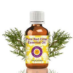 Deve Herbes Pure Red Cidar Essential Oil - 50 ml-53