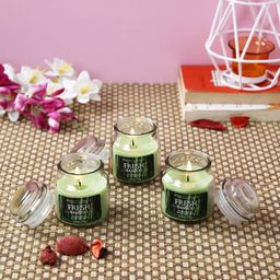 HOSLEY Set of 3 Green Fresh Bamboo Fragrance Jar Candles-31