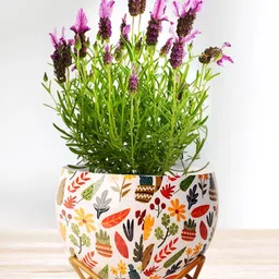 Nymph Reva Home White & Green Printed Indoor Flower Pot-38
