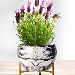 Nymph Reva Home White & Black Printed Planters With Stand-image-29