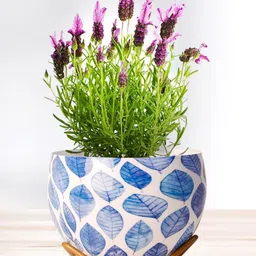 Nymph Blue & White Printed Flower Planters With Stand-image-20