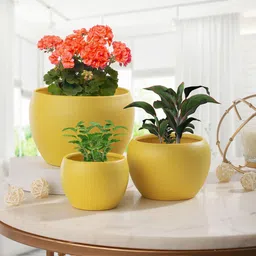 Homspurts Apple Bowl 3Pieces Yellow Powder Coated Planters-image-49