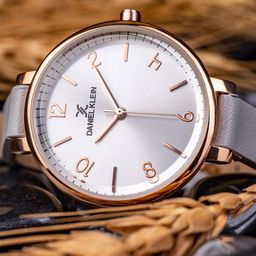 Daniel Klein Premium Women Silver-Toned Analogue Watch DK11983-5-23