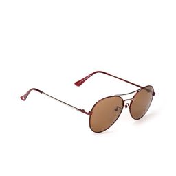 ENRICO Unisex Brown Lens & Brown Aviator Sunglasses - EN P 1098 C3-Brown-26