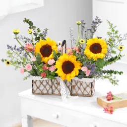 Fields of Sunshine-image-3