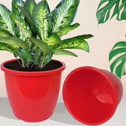 Kuber Industries Set of 6 Red Textured Planters image 4