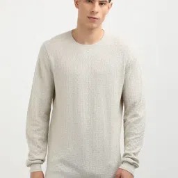 Tommy Hilfiger Beige Cotton Regular Fit Texture Pullover-image-17