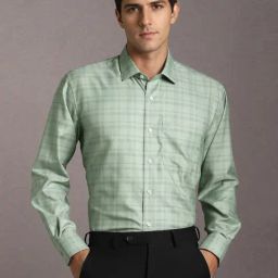 Louis Philippe Green Cotton Regular Fit Checks Shirt-picture-24