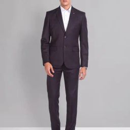 AD by Arvind Dark Purple Regular Fit Two Piece Suit-image-50