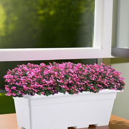 Kuber Industries White Rectangle ShapedWindow Planters-19