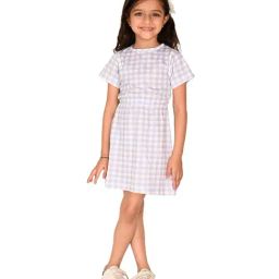 LilPicks Kids White & Blue Cotton Chequered Dress-image-56