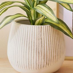 Home Centre Gloria Earthy Off White Ribbed Floor Planter-image-92