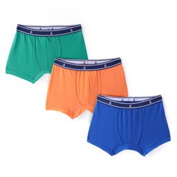 Pine Kids Cotton Spandex Knit Solid Colour Trunks Pack of 3  (Colour May Vary)-image-63